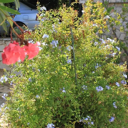 By The Sea Rukavac, Vis - 2411 * Rukavac (Vis)